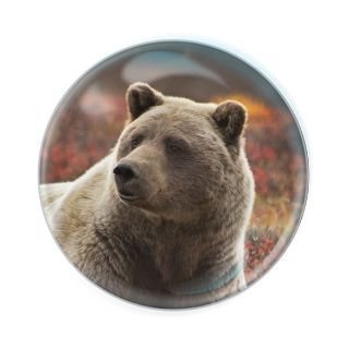 Obrázek z Magnet kulatý 5cm - medvěd grizzly (12) 